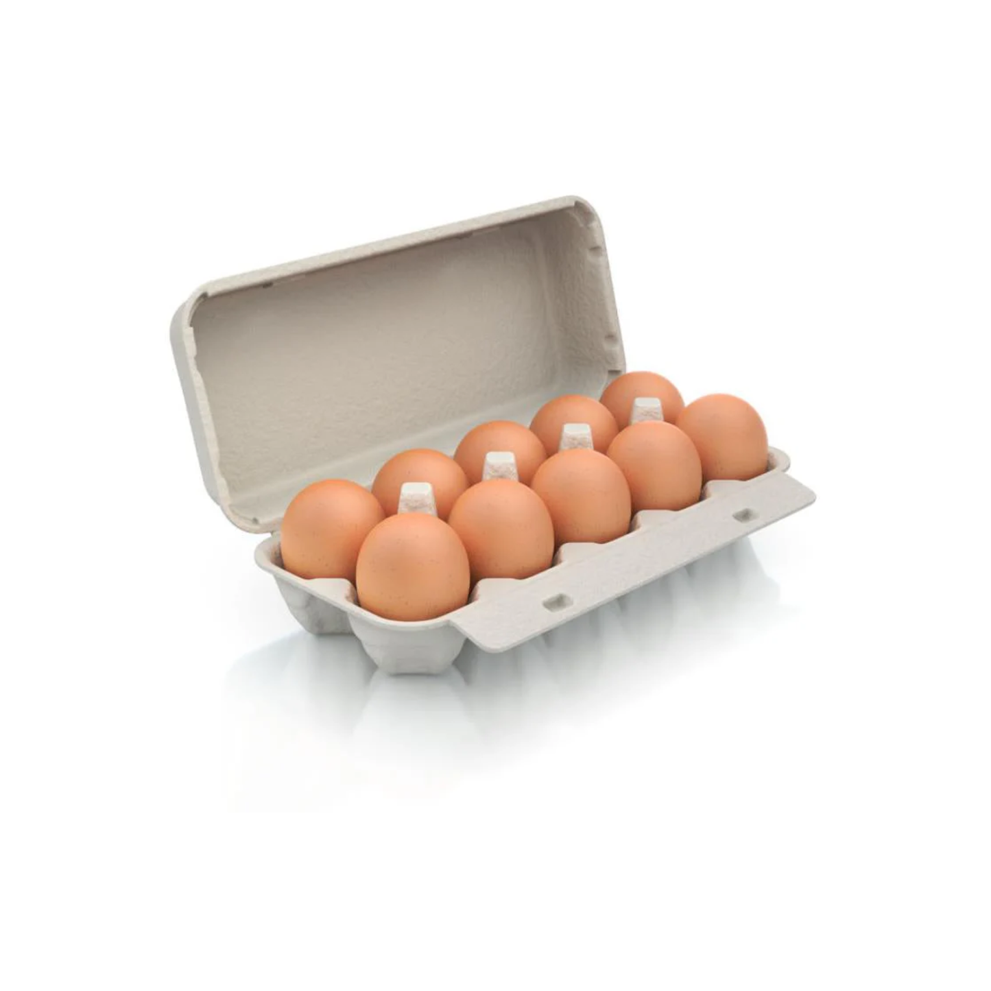 Eier Größe M 10 Stück Bodenhaltung