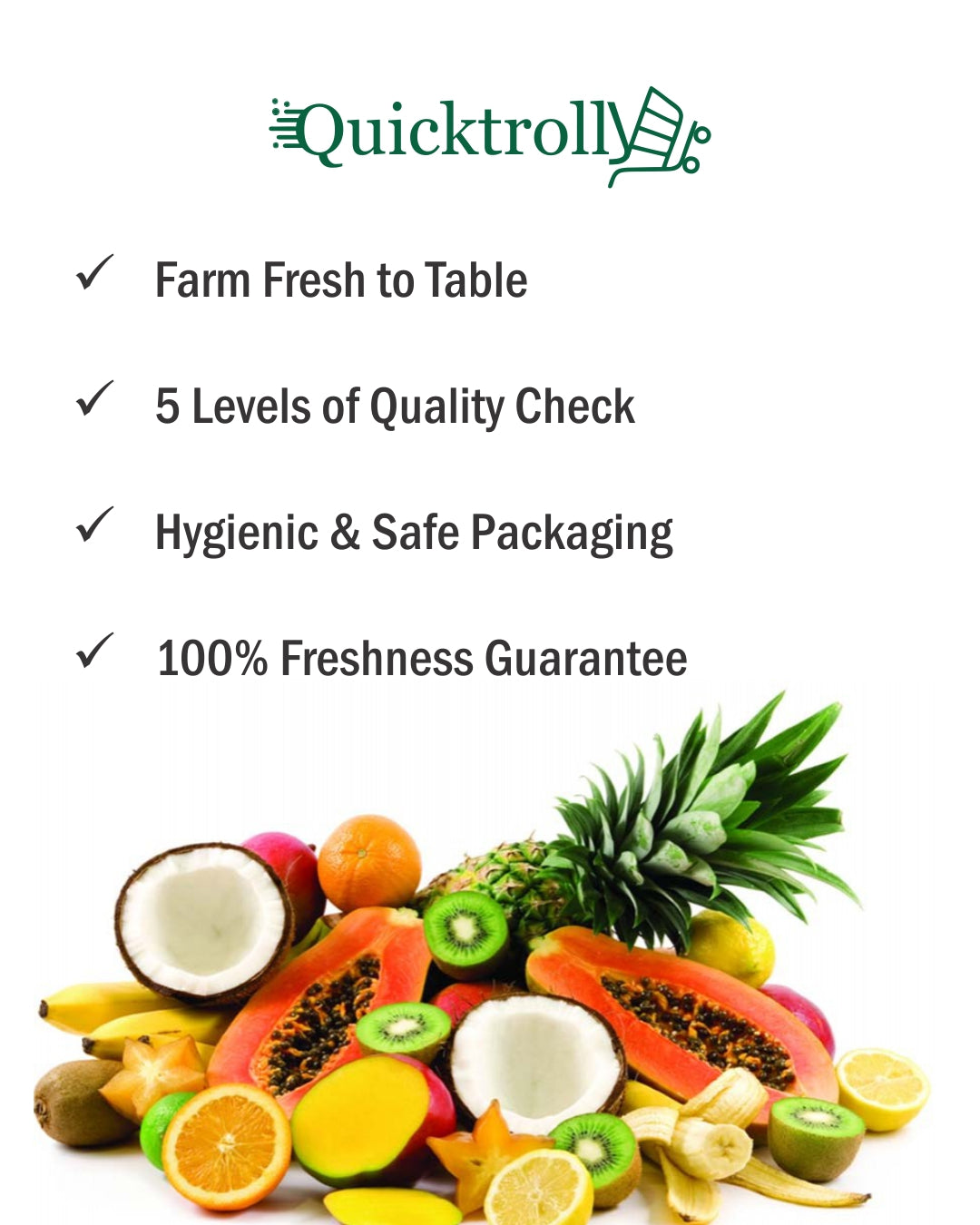 Kohl – Frischer grüner Kohl (1 Stück)