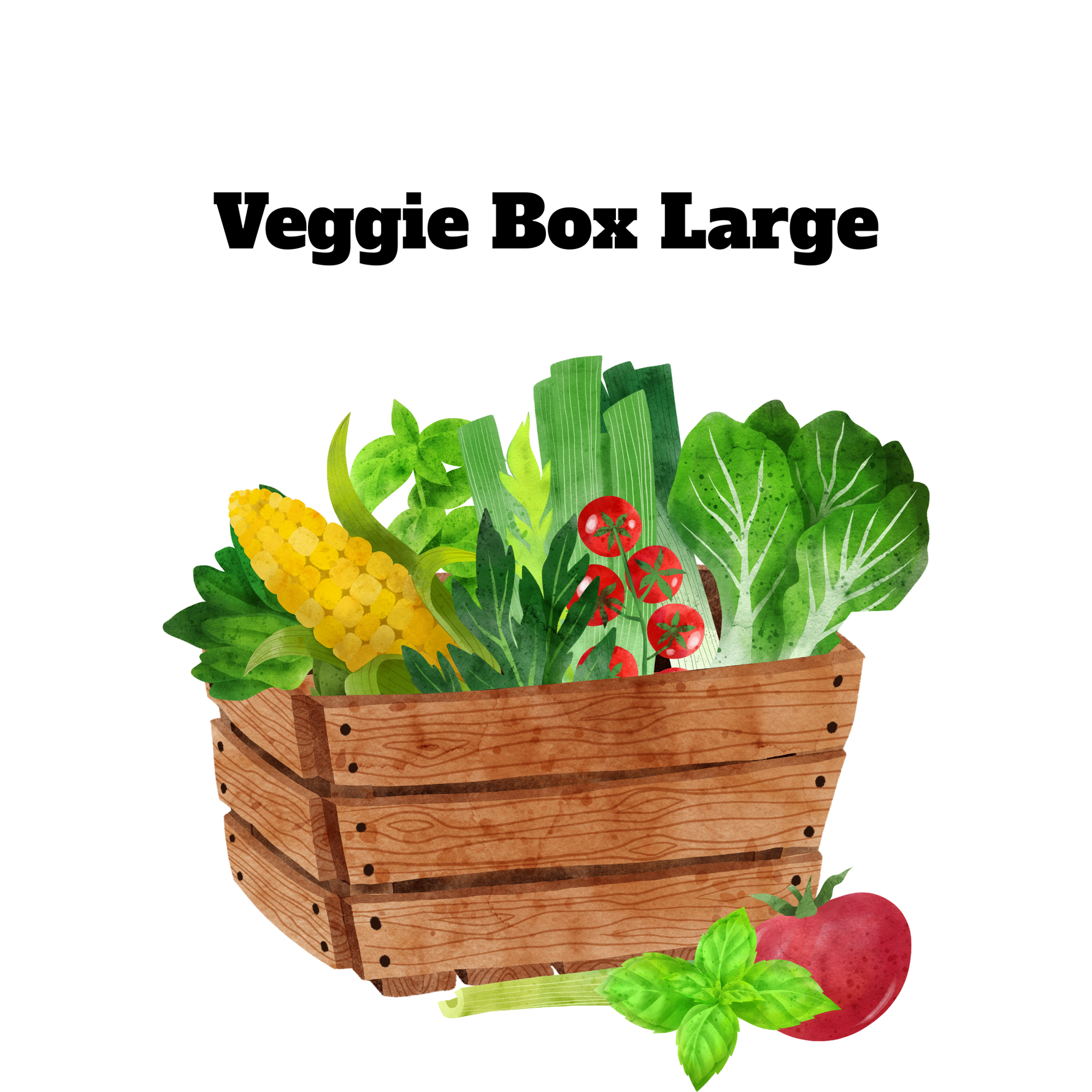 Weekly Veggie Box Large