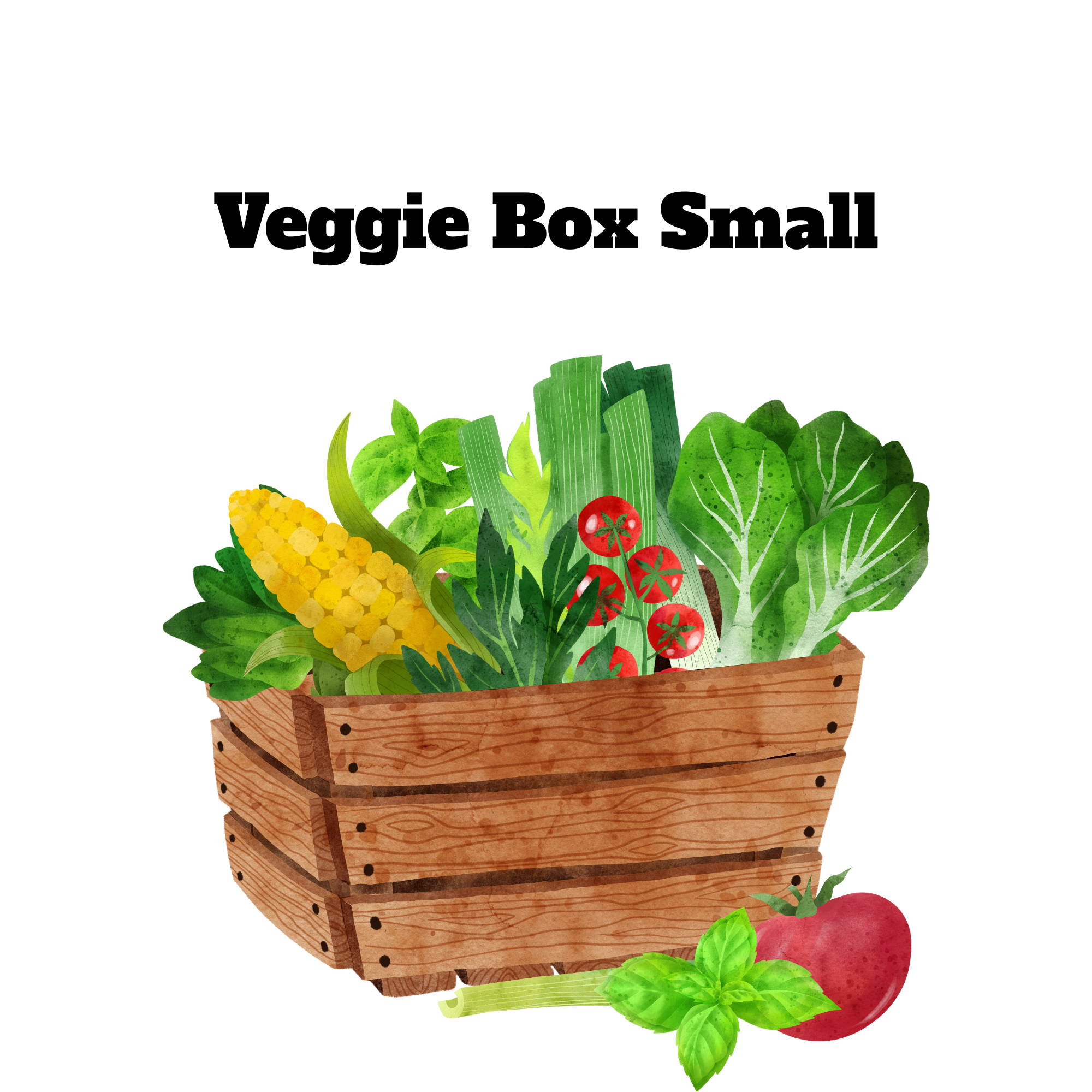 Weekly Veggie Box Small