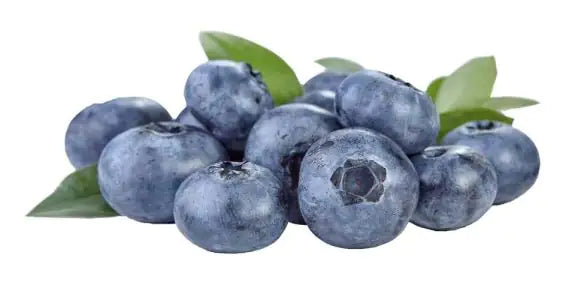 Beerenmix (8 Schüsseln)
