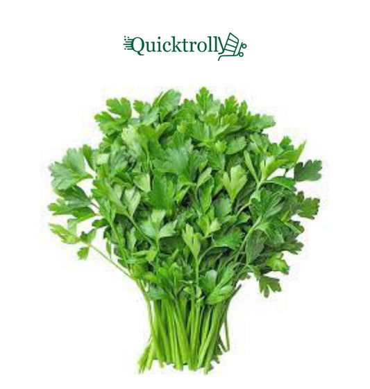 Coriander – Fresh Dhania Leaves (60g)