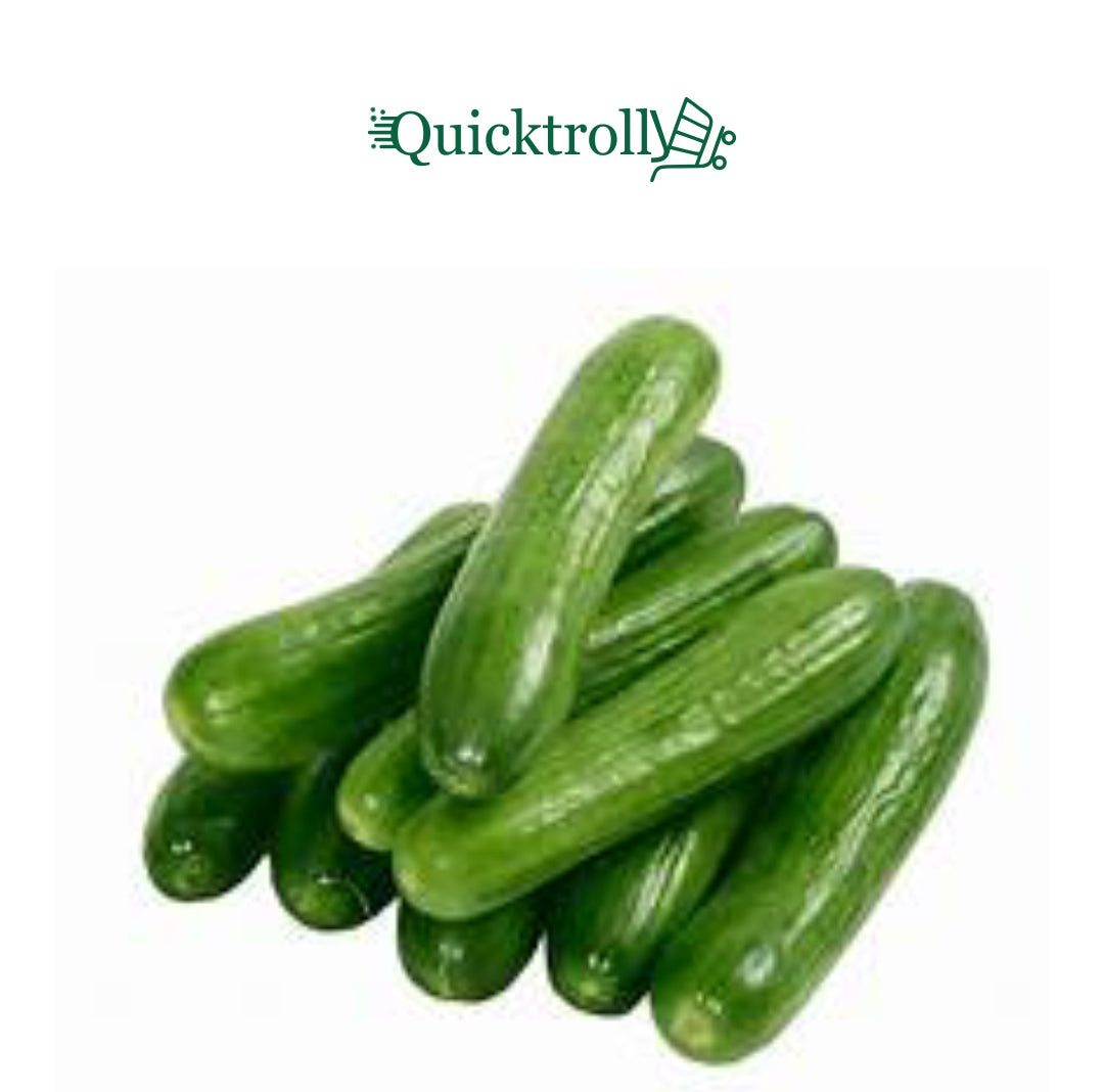 Gurke – Frische grüne Gurke (500 g)