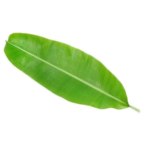 Banana_Leaves