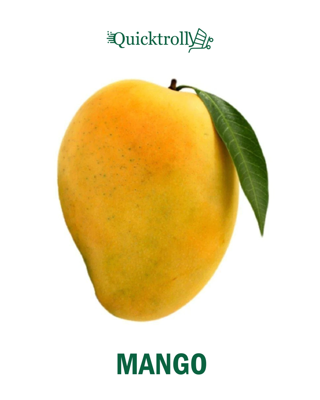 Mango – Frische Alphonso-Mangos (1 kg)