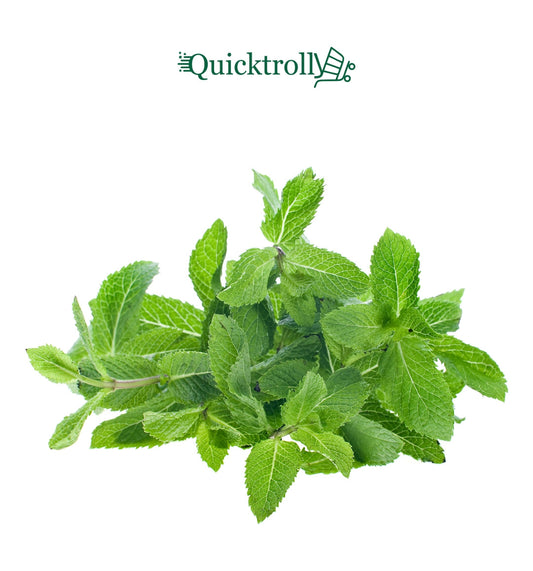 Mint – Fresh Pudina Leaves (60g)