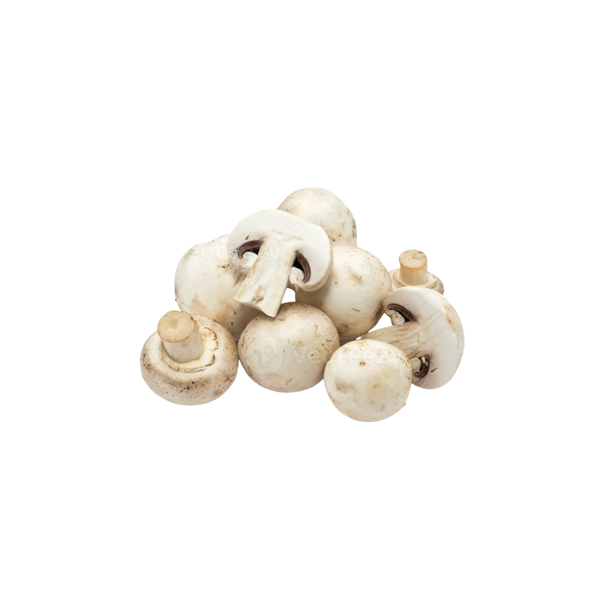 Champignons – Frische weiße Champignons (200 g)