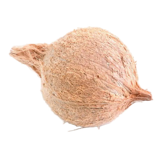 Pooja Coconut – Fresh Whole Coconut (1pc)