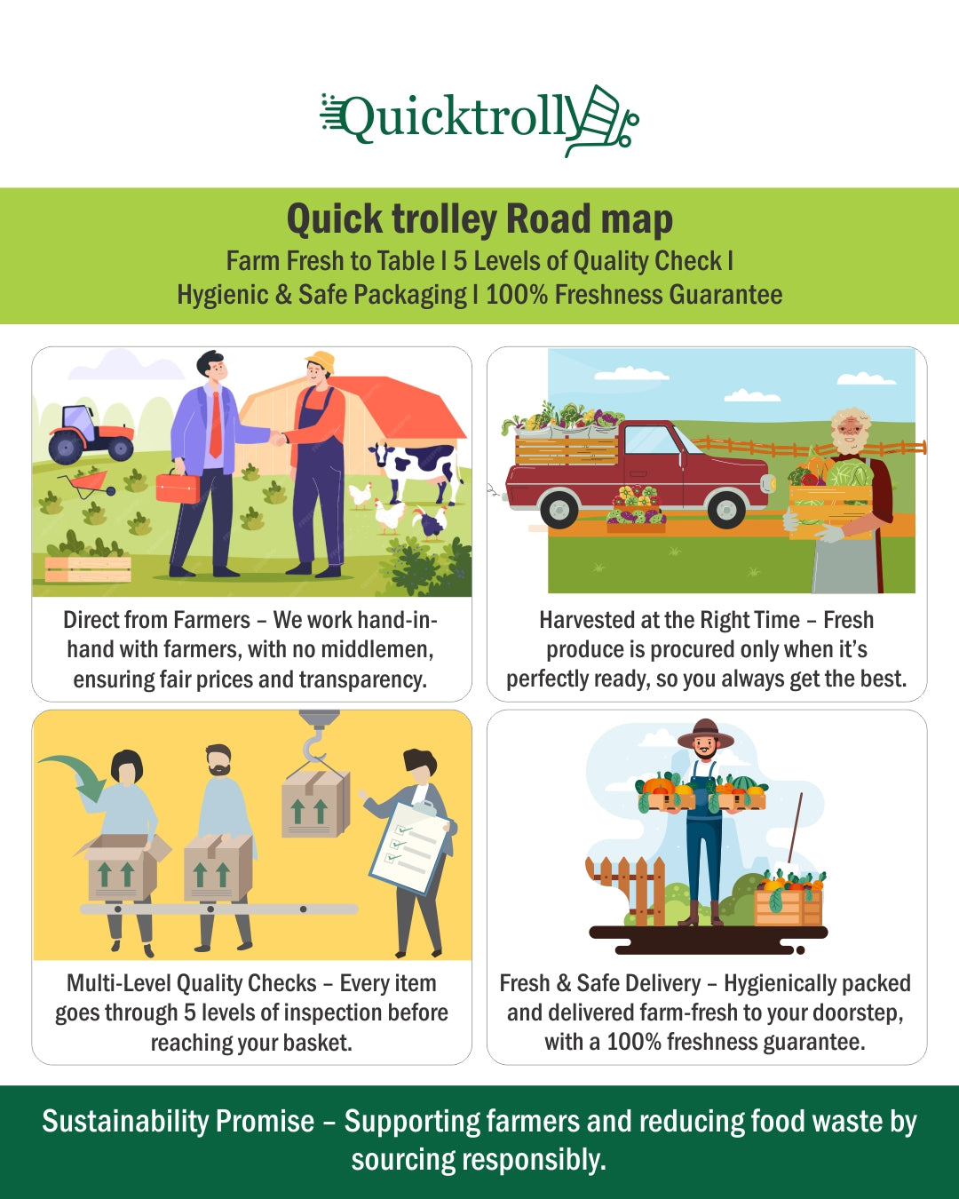 Kohl – Frischer grüner Kohl (1 Stück)